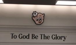 派对在猪：猪摇在莫比尔的欢呼声中打开一个展示