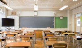 顶尖学校，狗的故事，三明治师：阿拉巴马州