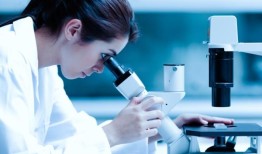 新的生物分子可以使农业和制药部门受益