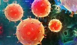 莱姆病的新测试可以可靠地区分早期和晚期患者