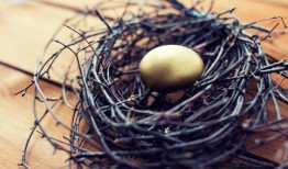 把所有的鸡蛋放在一个篮子里的投资案例