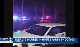 萨姆纳派对致命枪击事件后，青少年被捕，另有两人受伤