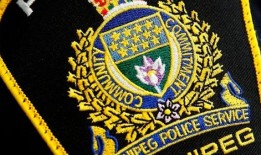 温尼伯警方：20岁男子被车撞后死亡