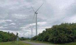 氢气来自可再生能源还是化石燃料？巴拿马问题