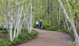麦迪逊和戴恩县这些“知名”的地方可能比你意识到的要多