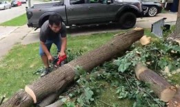 城市居民在停电期间开始清理龙卷风