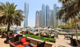 阿联酋：为什么越来越多的餐馆在COP28之后把“低碳食物”放在菜单上