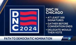 民主党人如何挑选新的总统候选人？下面是接下来的内容