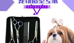 让宠物变身时尚达人的宠物美容工具