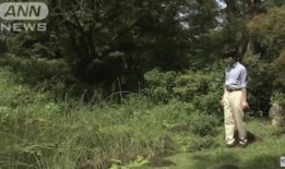 小泉进次郎谈改革56次