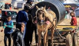 实况更新：联合国请求援助资金，警告加沙救援工作“崩溃”